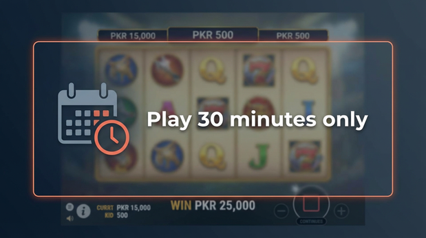 Payment and PKR controls in dragontigerclub - 6